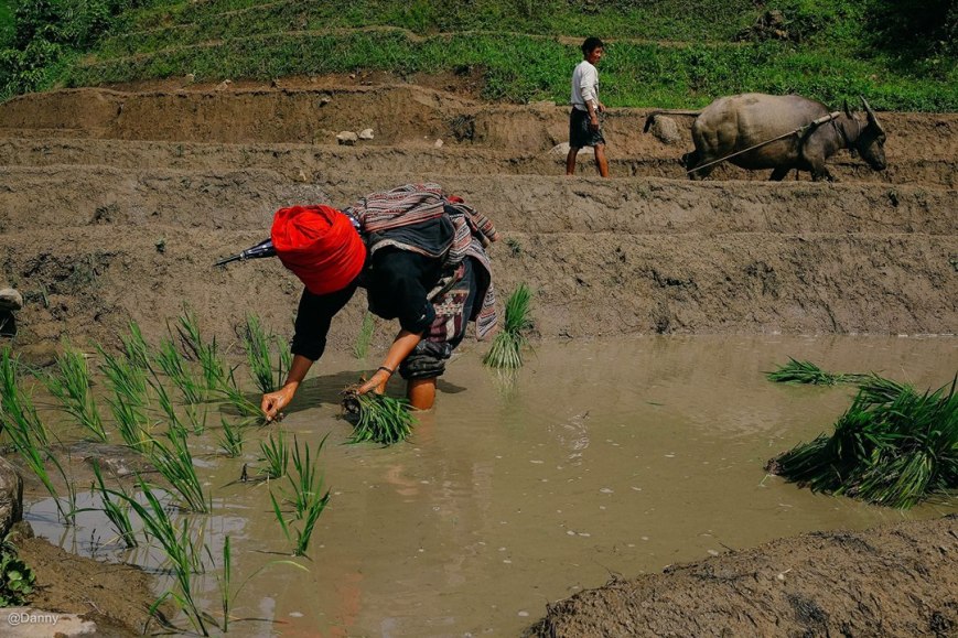 13737699_890974931007509_7595150563839912105_o