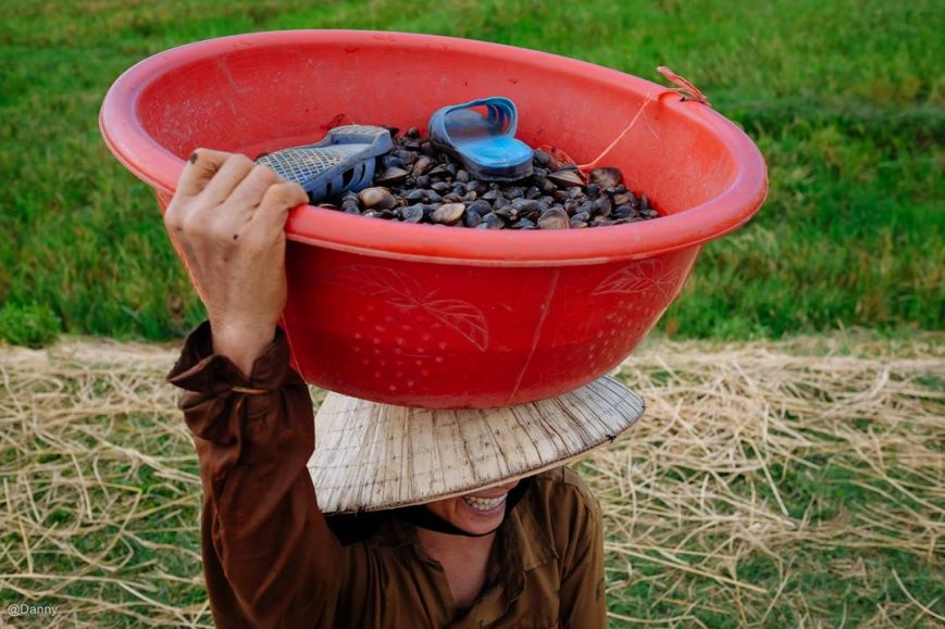 13738085_890973497674319_6030505986627692102_o