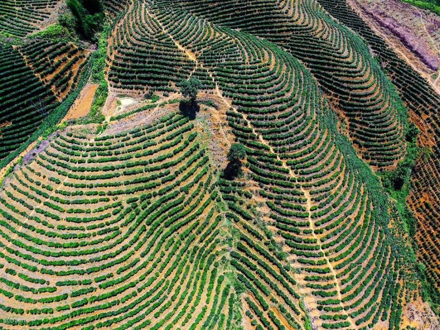 13738142_890975547674114_6243952252166575348_o