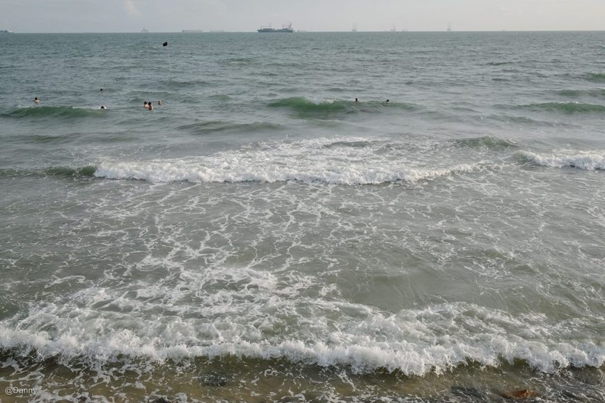 13738320_890971477674521_255638897930176884_o