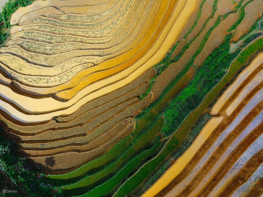 13765803_890975511007451_5639558367129167004_o