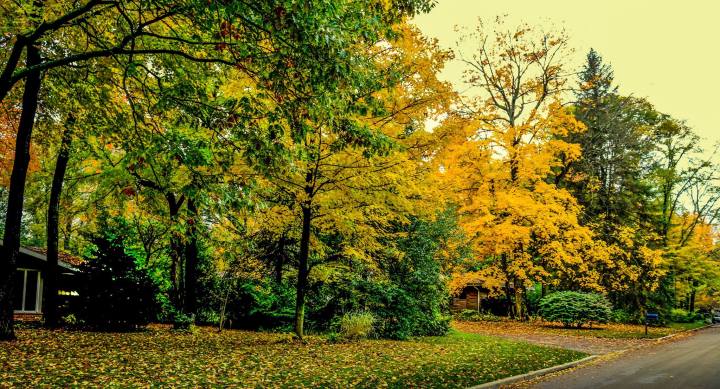 10662203_10152357992717624_6292841286338204643_o