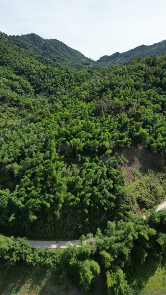 Xe đi giữa hai bên xanh ngắt của rừng núi Hoà Bình